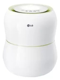 Мойка воздуха LG HW306LGE0