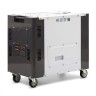 Дизельный электрогенератор Daewoo Power Products DDAE 10000DSE-3