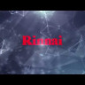Настенный газовый котел Rinnai BR-RE18 WiFi