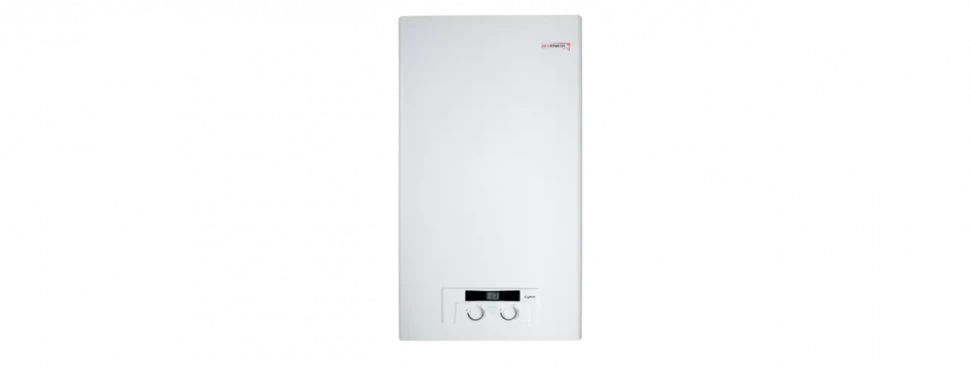 Настенный газовый котел Protherm Рысь НК 11